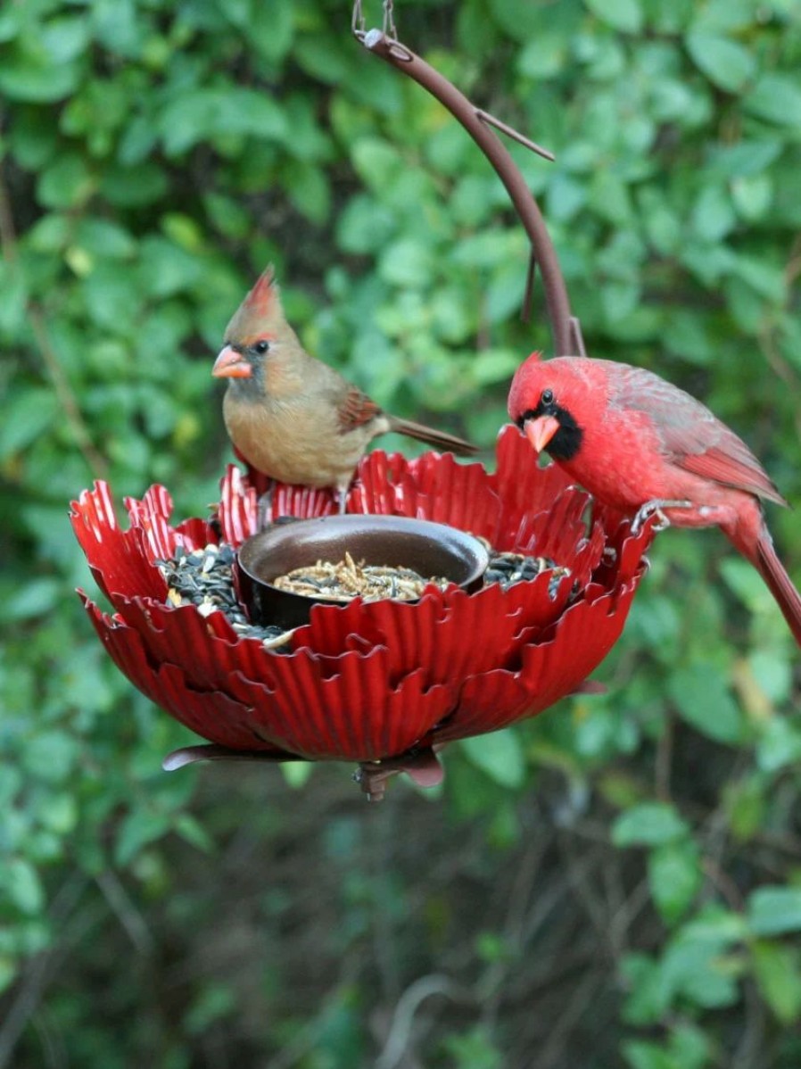 Backyard Habitat * | Gsc Desert Steel Sunset Peony Bird Feeder