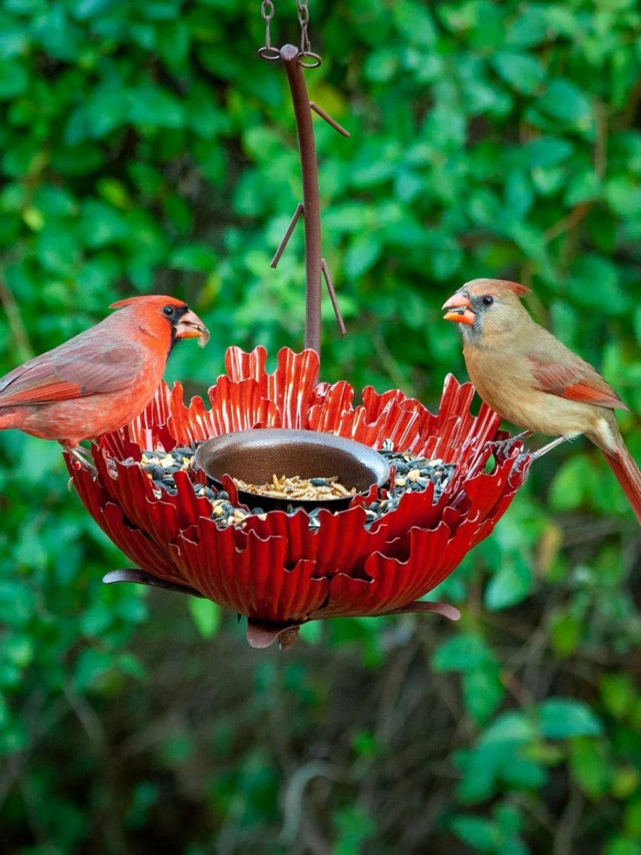 Backyard Habitat * | Gsc Desert Steel Sunset Peony Bird Feeder