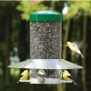 Backyard Habitat * | Gsc Birds Choice Classic Hanging Bird Feeder, 12 Inches