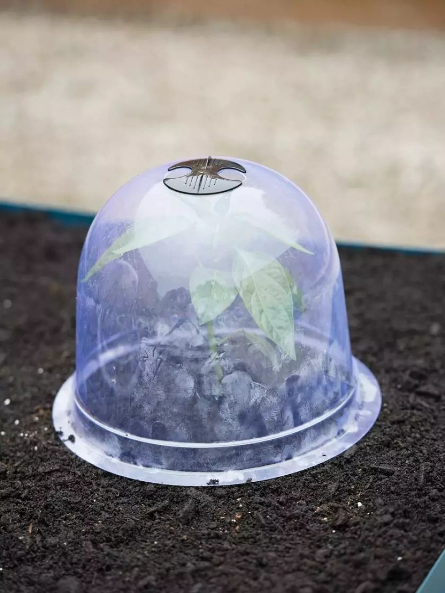 Season Extenders * | Gsc Medium Garden Cloches, Set Of 6