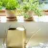 Watering & Irrigation * | Gsc Precision Brass Watering Can