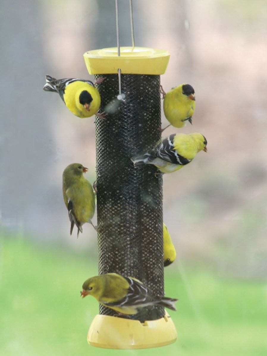 Backyard Habitat * | Gsc Birds Choice Magnet Mesh Clever Clean Nyjer Feeder 18