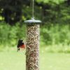 Backyard Habitat * | Gsc Birds Choice Magnet Mesh Peanut Feeder