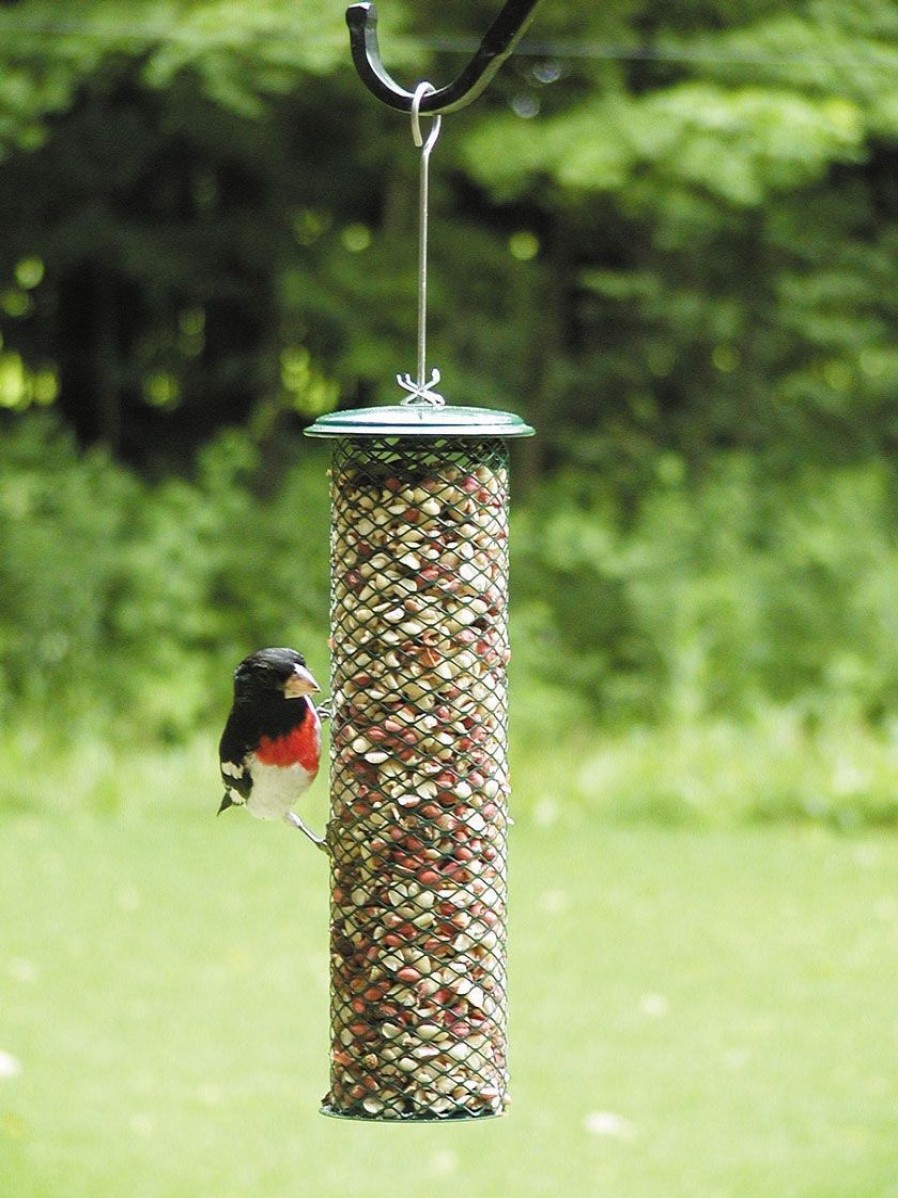 Backyard Habitat * | Gsc Birds Choice Magnet Mesh Peanut Feeder