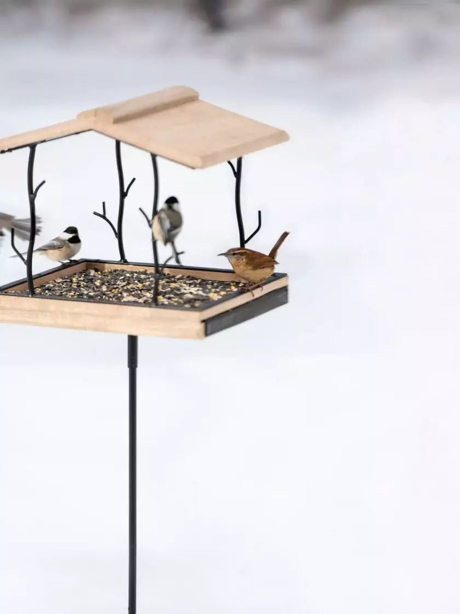 Backyard Habitat * | Gsc Twigs Platform Bird Feeder