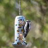 Backyard Habitat * | Gsc Suet Ball Feeder