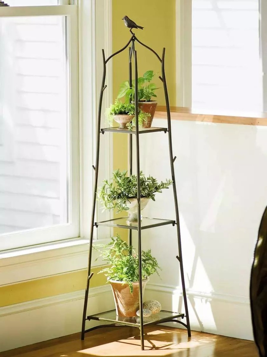 Indoor Garden * | Gsc Branch Plant Stand