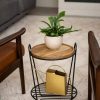 Indoor Garden * | Gsc Hairpin Plant Stand With Shelf