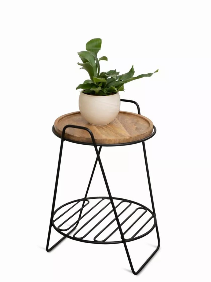 Indoor Garden * | Gsc Hairpin Plant Stand With Shelf