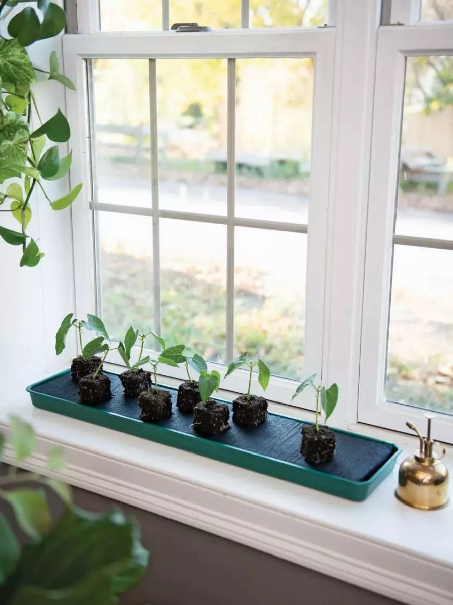 Indoor Garden * | Gsc Self-Watering Windowsill Tray