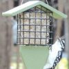 Backyard Habitat * | Gsc Birds Choice Tail Prop Feeder