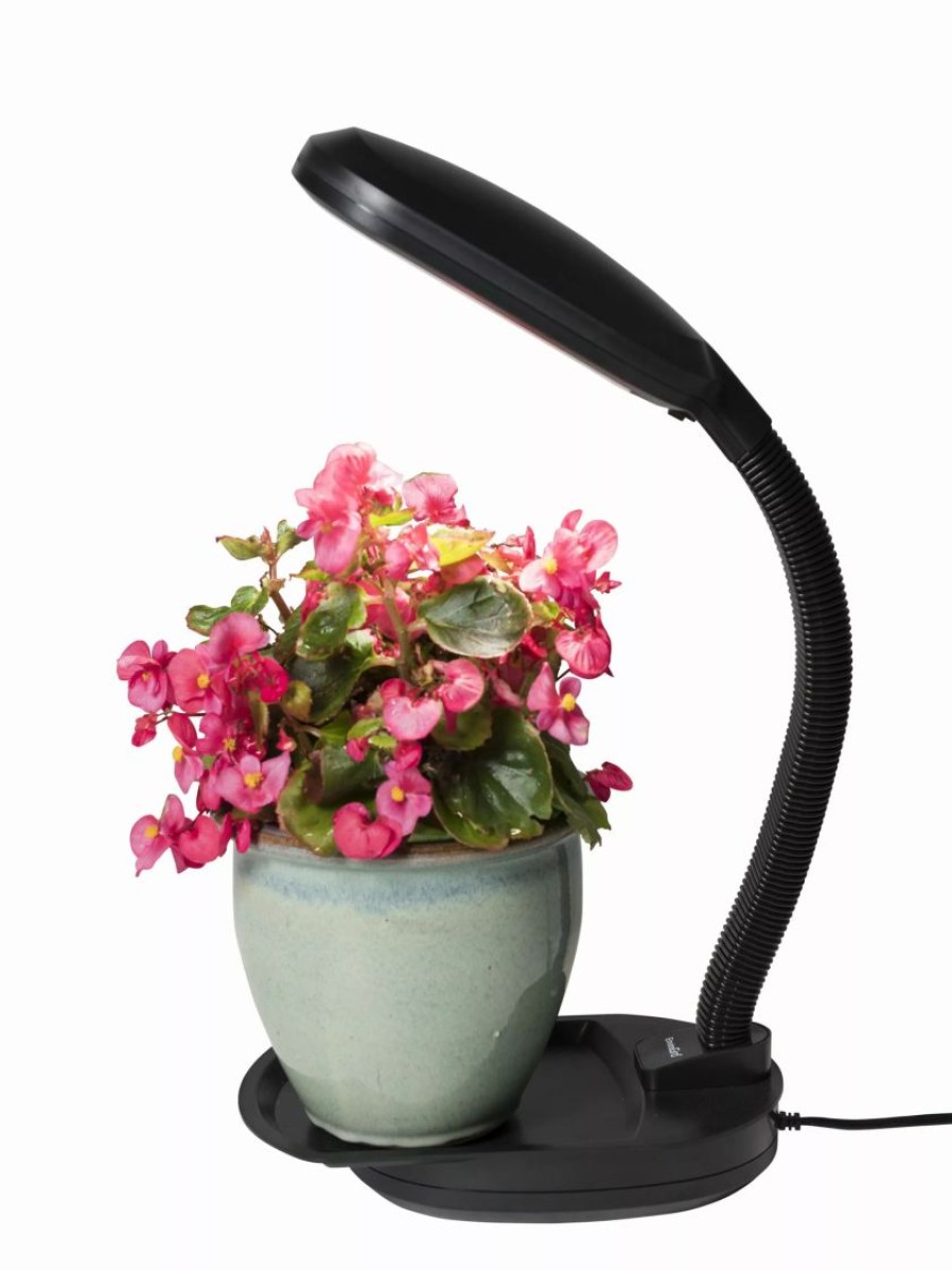 Indoor Garden * | Gsc Agrobrite Desktop Plant Light