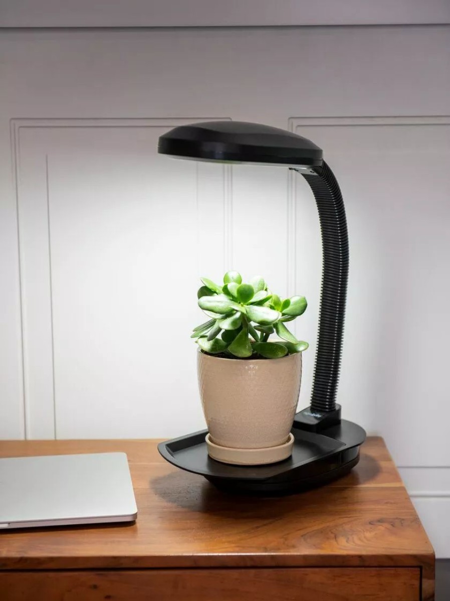 Indoor Garden * | Gsc Agrobrite Desktop Plant Light