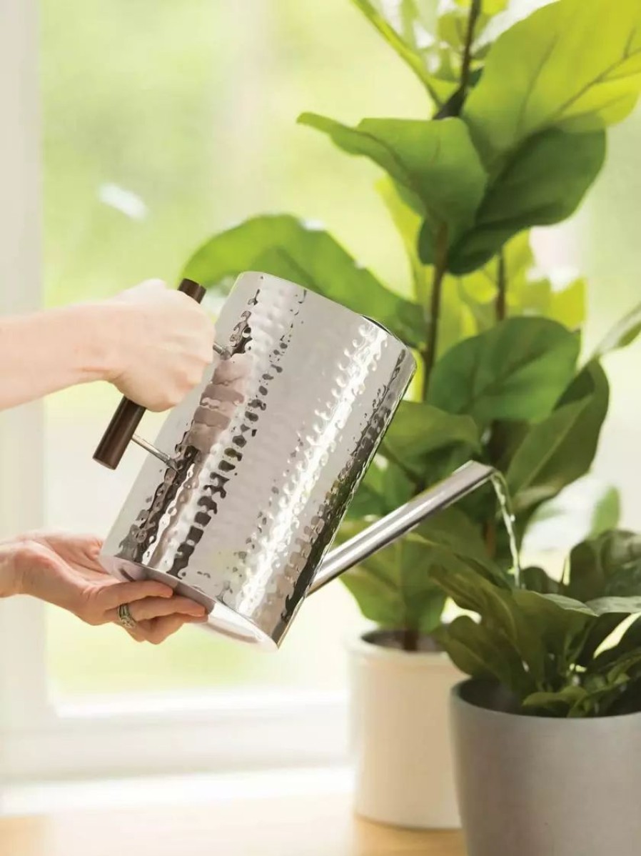 Indoor Garden * | Gsc Stainless Steel Watering Can