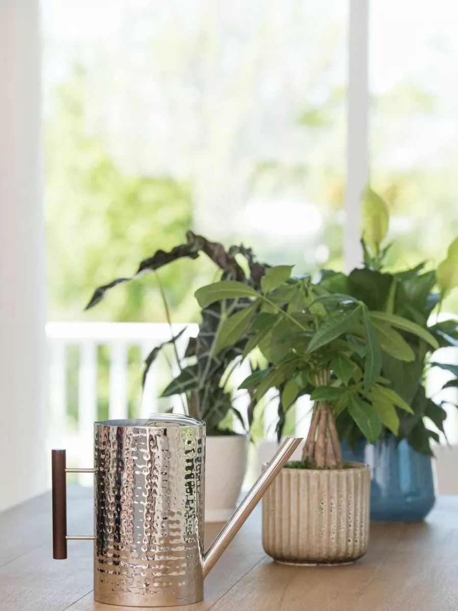 Indoor Garden * | Gsc Stainless Steel Watering Can