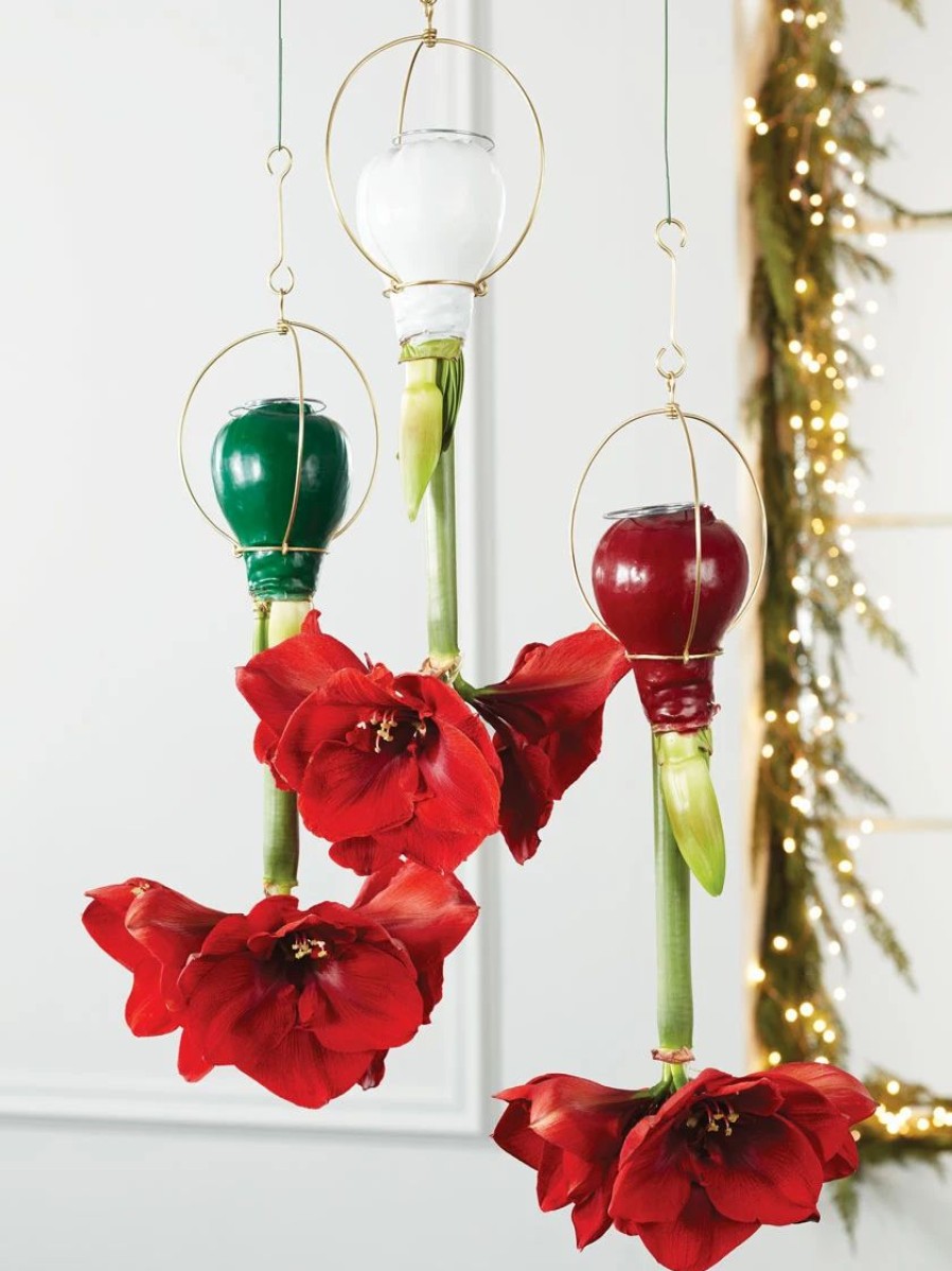 Indoor Garden * | Gsc Waxed Amaryllis Brass Hangers, Set Of 3