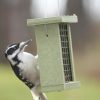 Backyard Habitat * | Gsc Birds Choice Suet Feeder