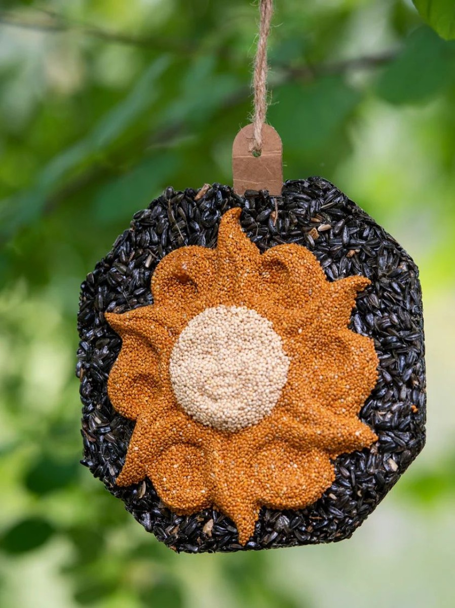 Backyard Habitat * | Gsc Sunface Birdseed Wreath