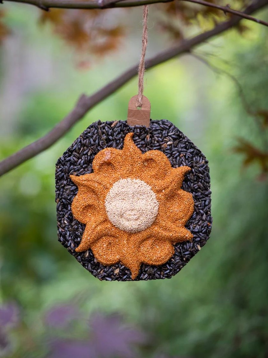 Backyard Habitat * | Gsc Sunface Birdseed Wreath