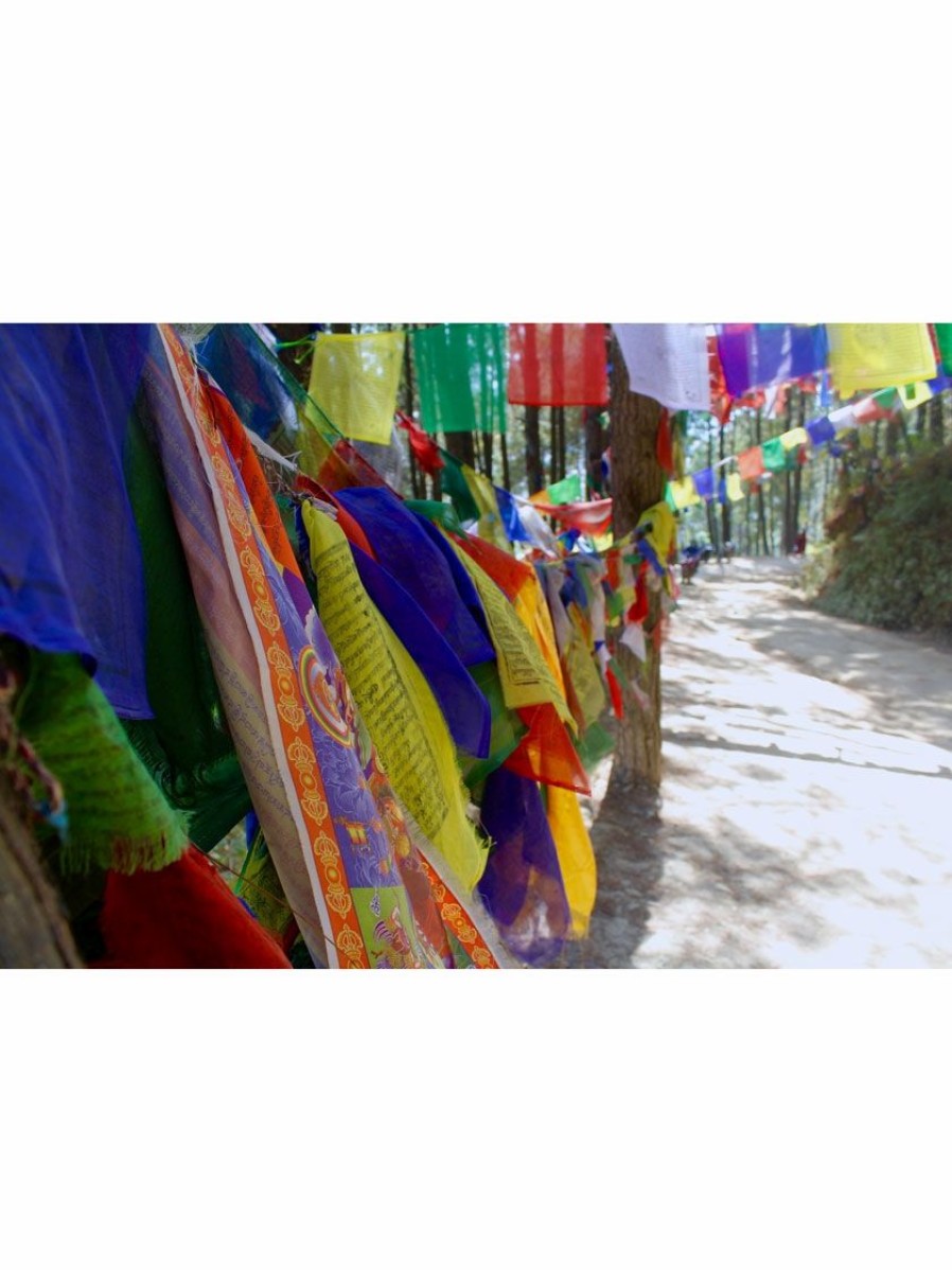 Yard & Garden Decor * | Gsc Tibetan Prayer Flags