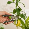 Indoor Garden * | Gsc Houseplant Pruner Green