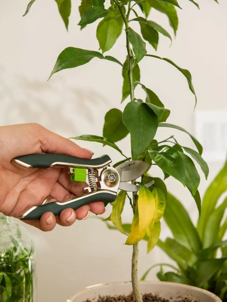 Indoor Garden * | Gsc Houseplant Pruner Green