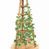 Yard & Garden Decor * | Gsc Cedar Obelisk, 8