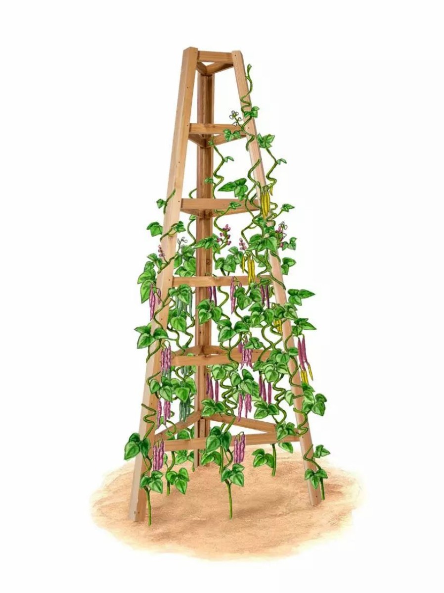 Yard & Garden Decor * | Gsc Cedar Obelisk, 8