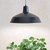 Indoor Garden * | Gsc Barnyard Pendant Led Grow Light