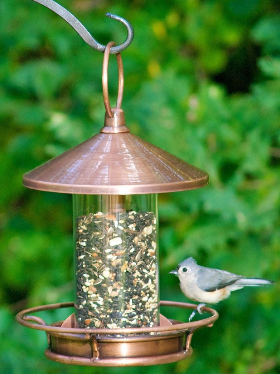 Backyard Habitat * | Gsc Classic Perch Bird Feeder With Copper Finish