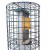 Backyard Habitat * | Gsc Birds Choice Double Cake Suet Feeder With Cage