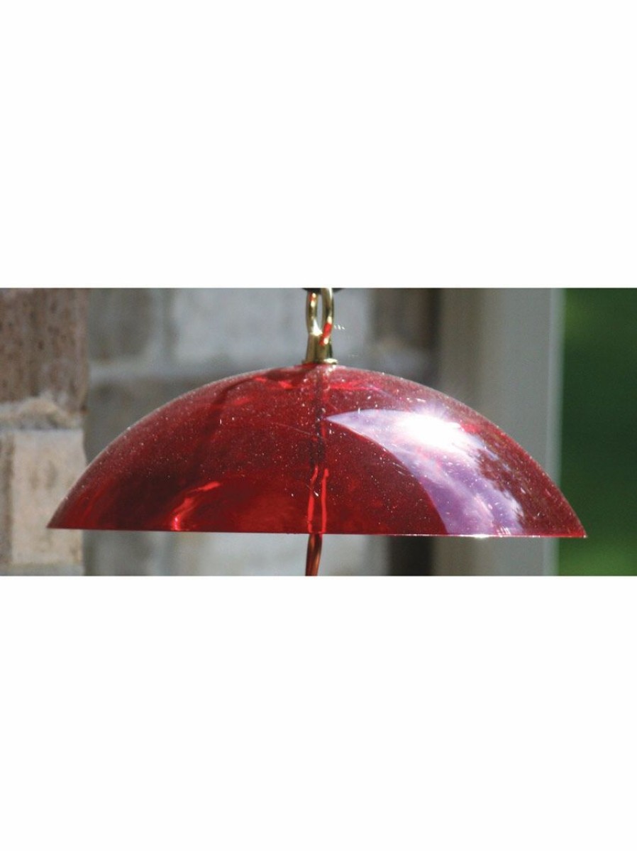 Backyard Habitat * | Gsc Birds Choice Hanging Dome With Brass Hanger