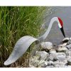 Yard & Garden Decor * | Gsc Florida Dancing Birds , Sand Hill Crane