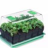 Indoor Garden * | Gsc Deep Root Seedstarting System, Black