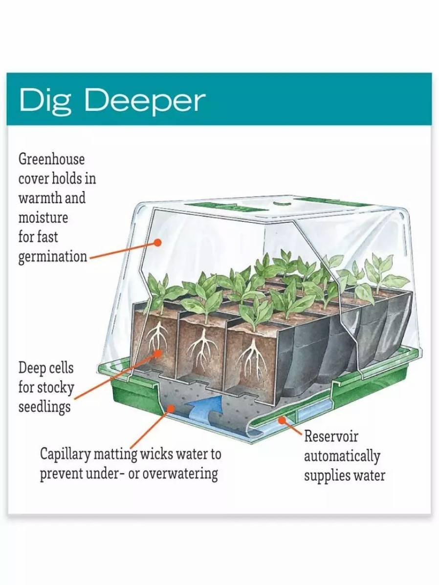 Indoor Garden * | Gsc Deep Root Seedstarting System, Black