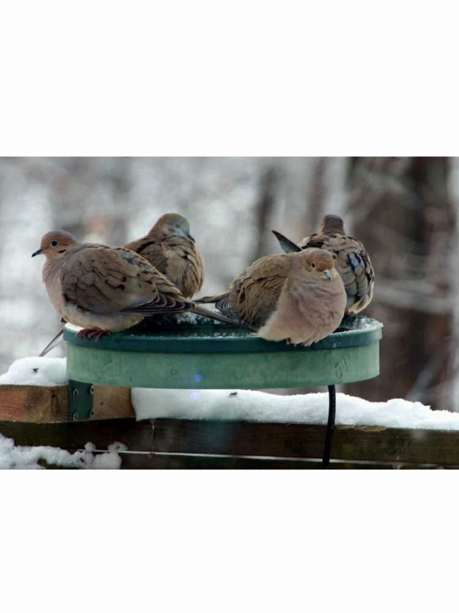 Backyard Habitat * | Gsc All Seasons 3-In-1 Heated Birdbath