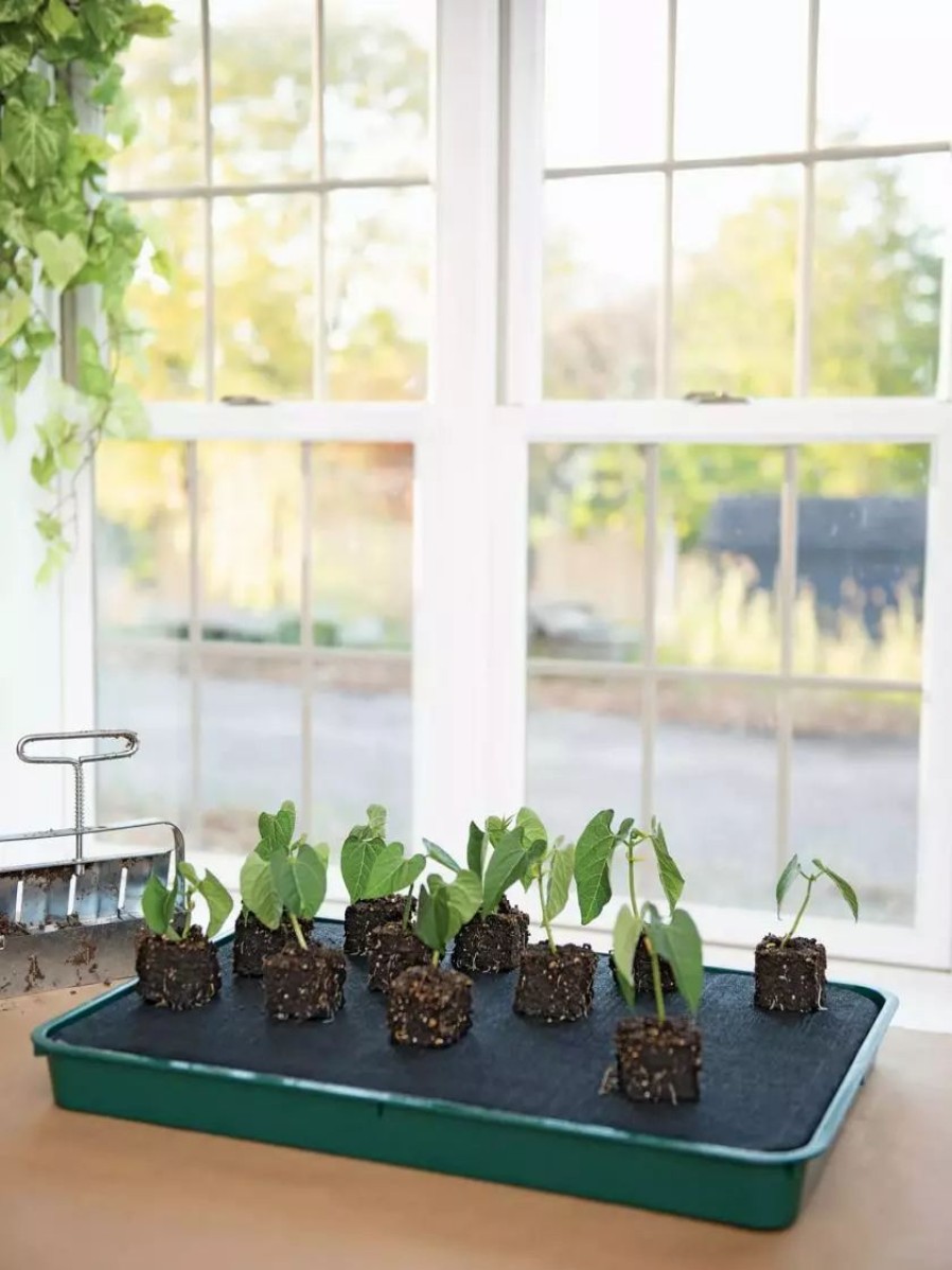 Indoor Garden * | Gsc Self-Watering Tray