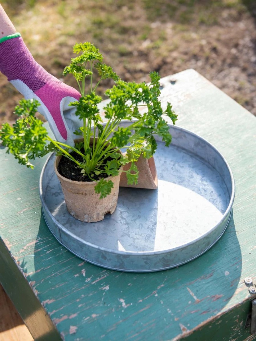 Indoor Garden * | Gsc Galvanized Tray Round, 11