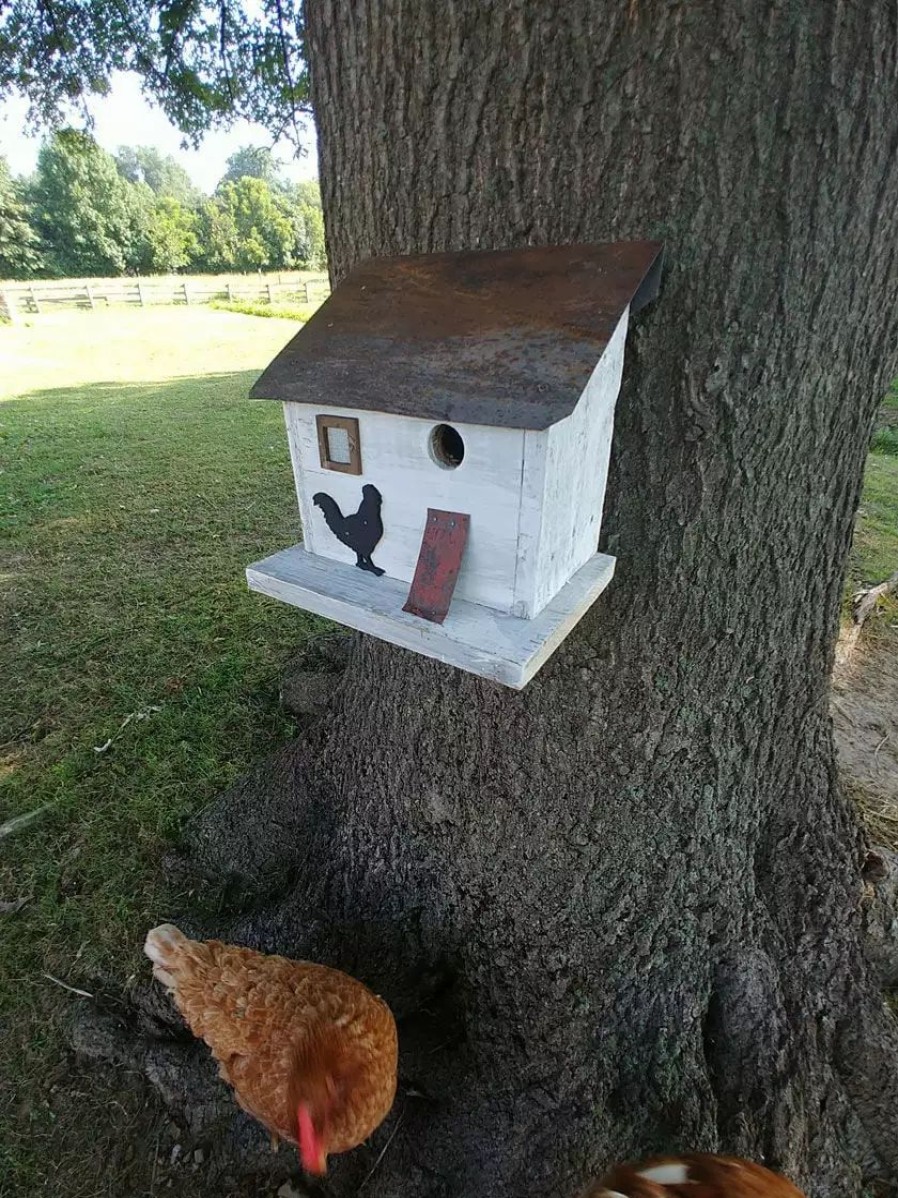 Backyard Habitat * | Gsc Cumberland Chicken Coop Bird House