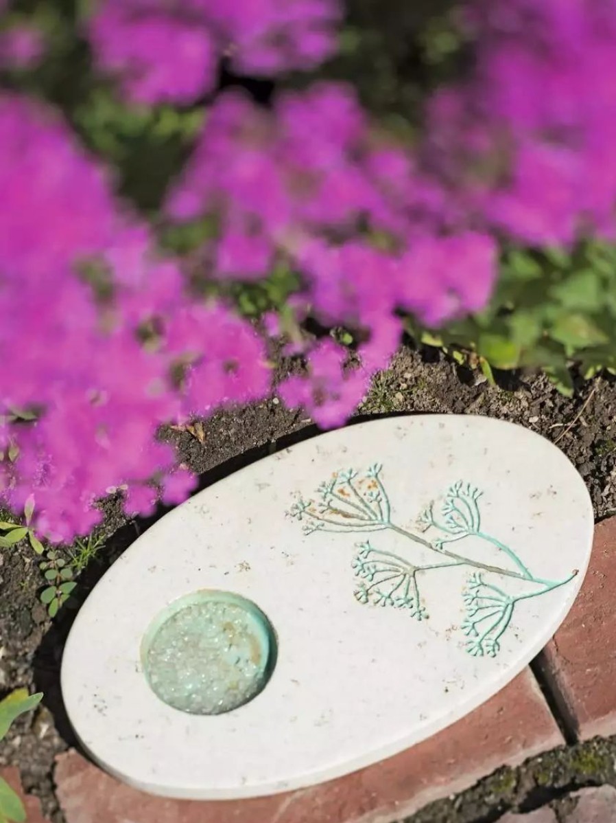 Backyard Habitat * | Gsc Butterfly Puddling Stone