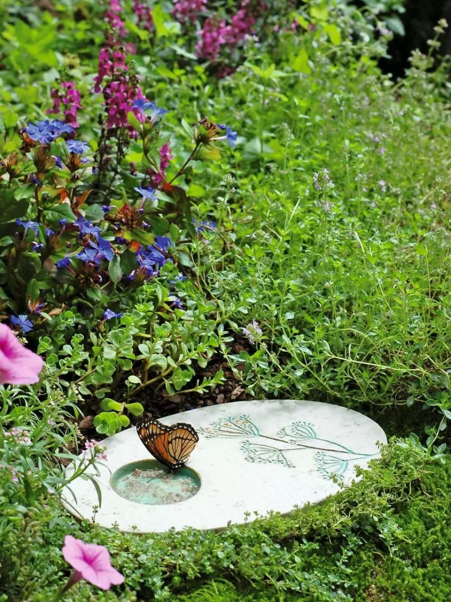 Backyard Habitat * | Gsc Butterfly Puddling Stone