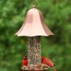 Backyard Habitat * | Gsc Bell Tube Bird Feeder