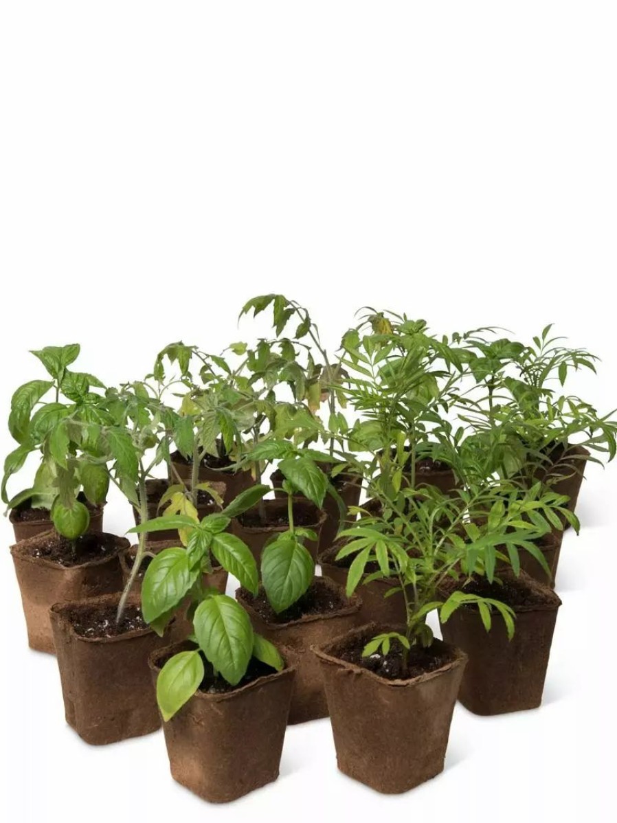 Indoor Garden * | Gsc 3-1/2" Square Biodegradable Pots, Set Of 18