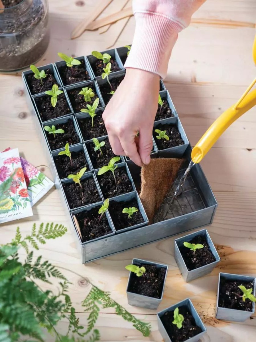 Indoor Garden * | Gsc Self-Watering Galvanized Seed Starting Tray