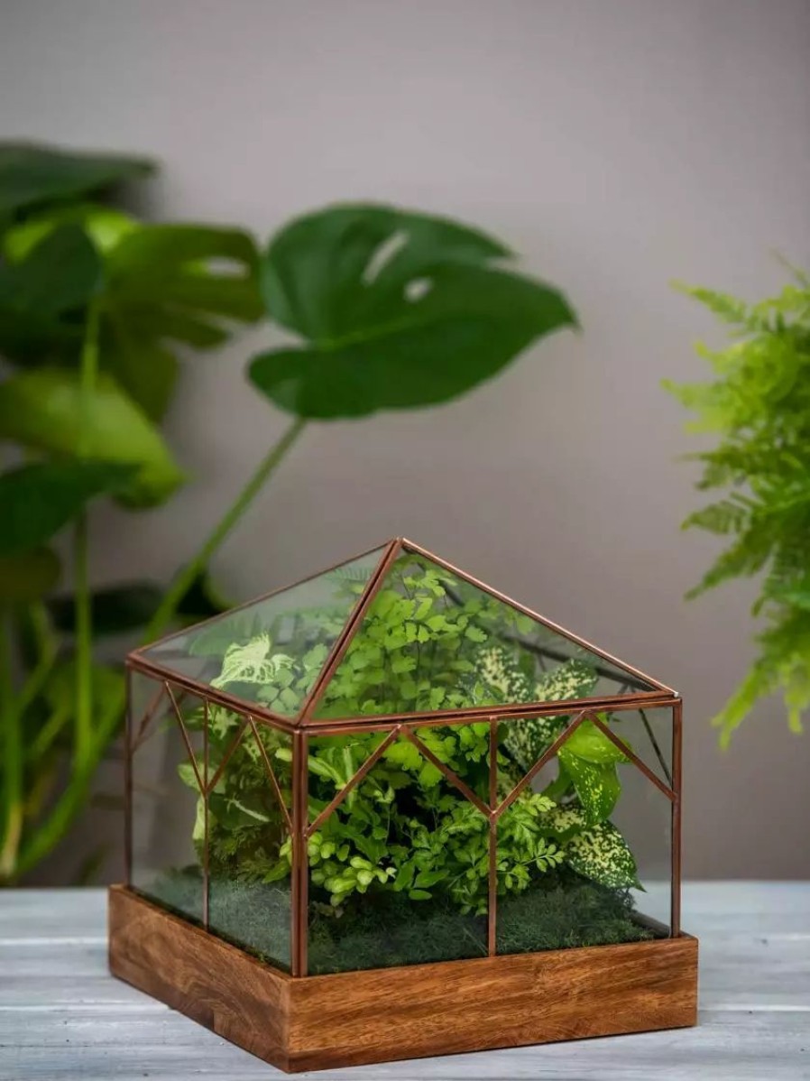 Indoor Garden * | Gsc Art Decco Copper And Glass Terrariums