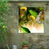 Yard & Garden Decor * | Gsc Butterfly Kiss Outdoor Wall Art