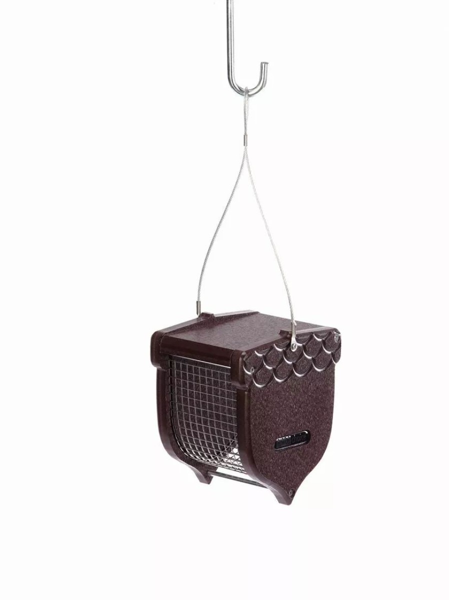 Backyard Habitat * | Gsc Birds Choice Acorn Peanut Bird Feeder