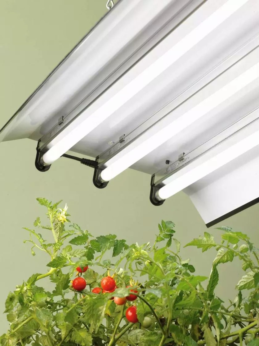 Indoor Garden * | Gsc High Intensity Light Fixture