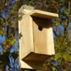 Backyard Habitat * | Gsc Eastern Bluebird Joy Box Bird House