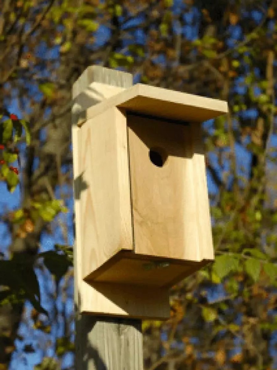 Backyard Habitat * | Gsc Eastern Bluebird Joy Box Bird House